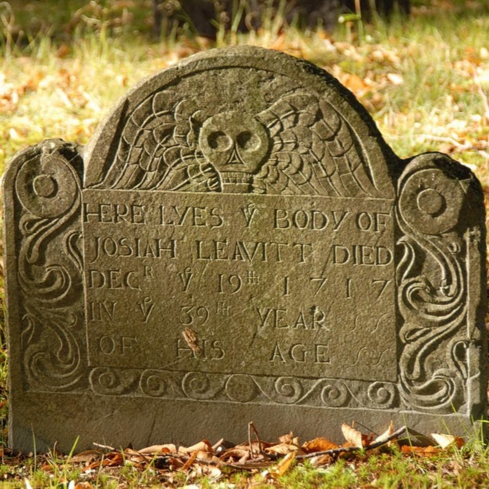 Meet your Posher, Elean